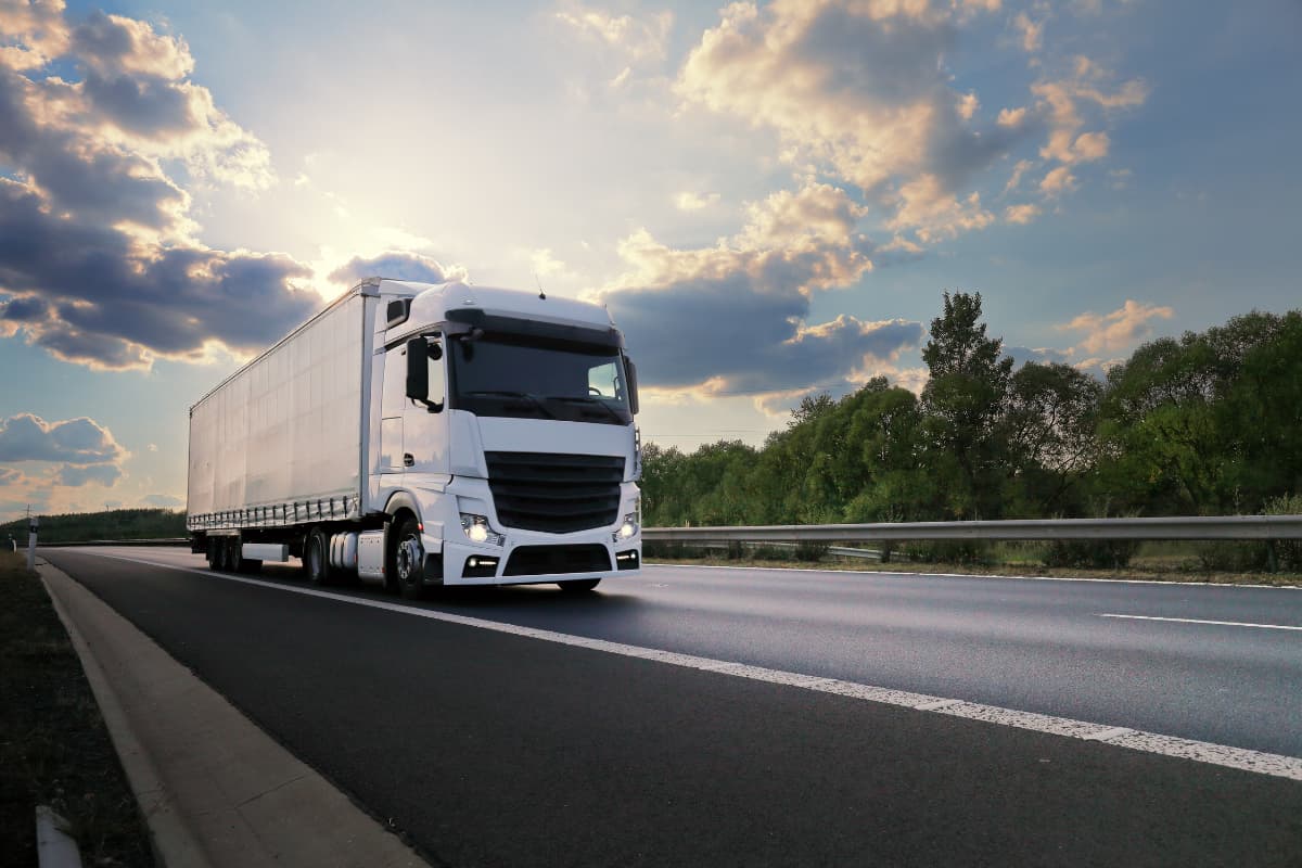 MORPHO TRANS | Services